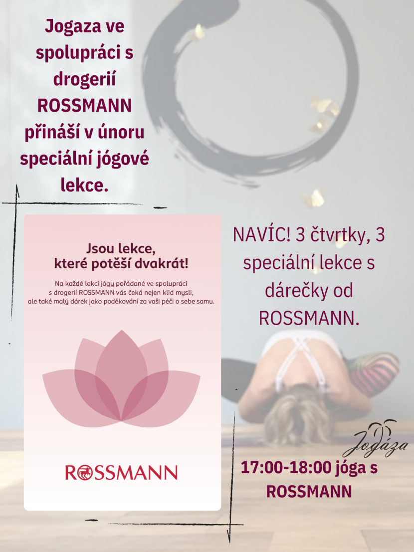 Rossmann-socky-03.pdf.png